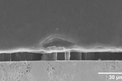 battery microscope dendrites
