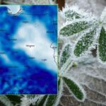 frosty meadow sunrise