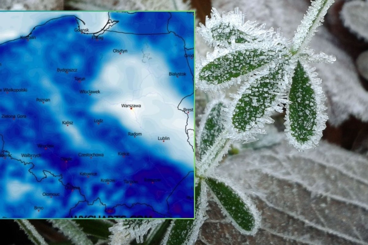 frosty meadow sunrise