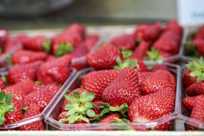 strawberries market import