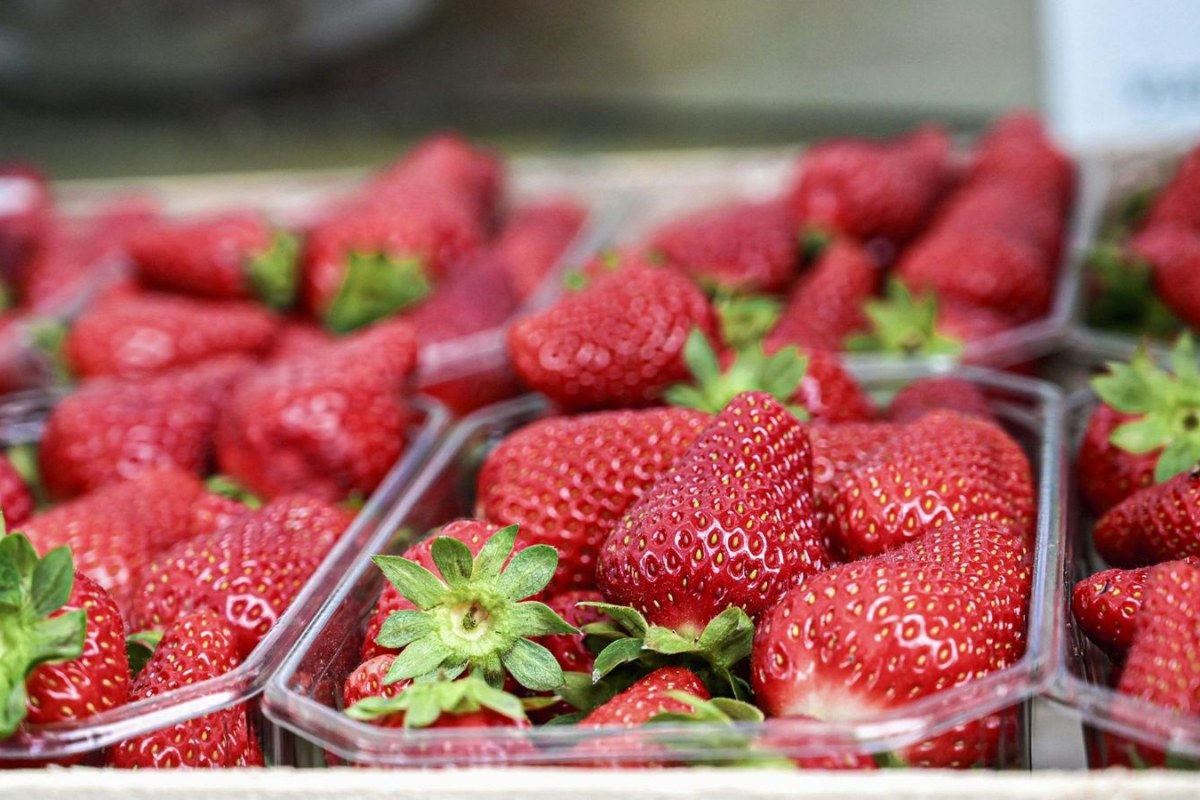 strawberries market import