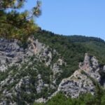 Greek parliament corruption