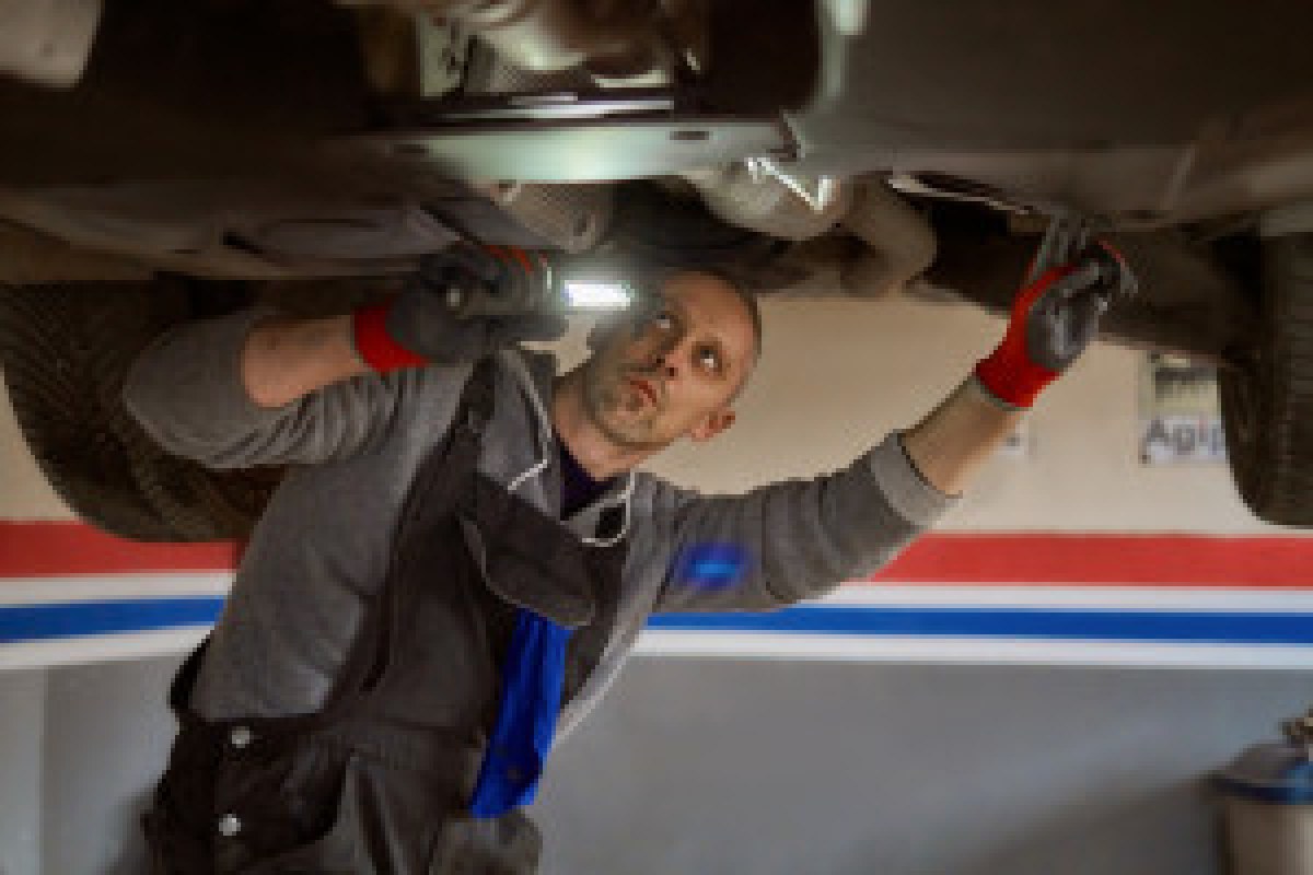 car inspection document