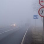 foggy winter road