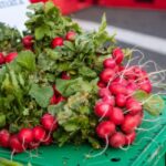fresh spring vegetables market