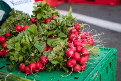 fresh spring vegetables market