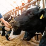 business meeting sustainability