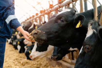 business meeting sustainability