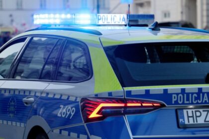 weather balloon forest