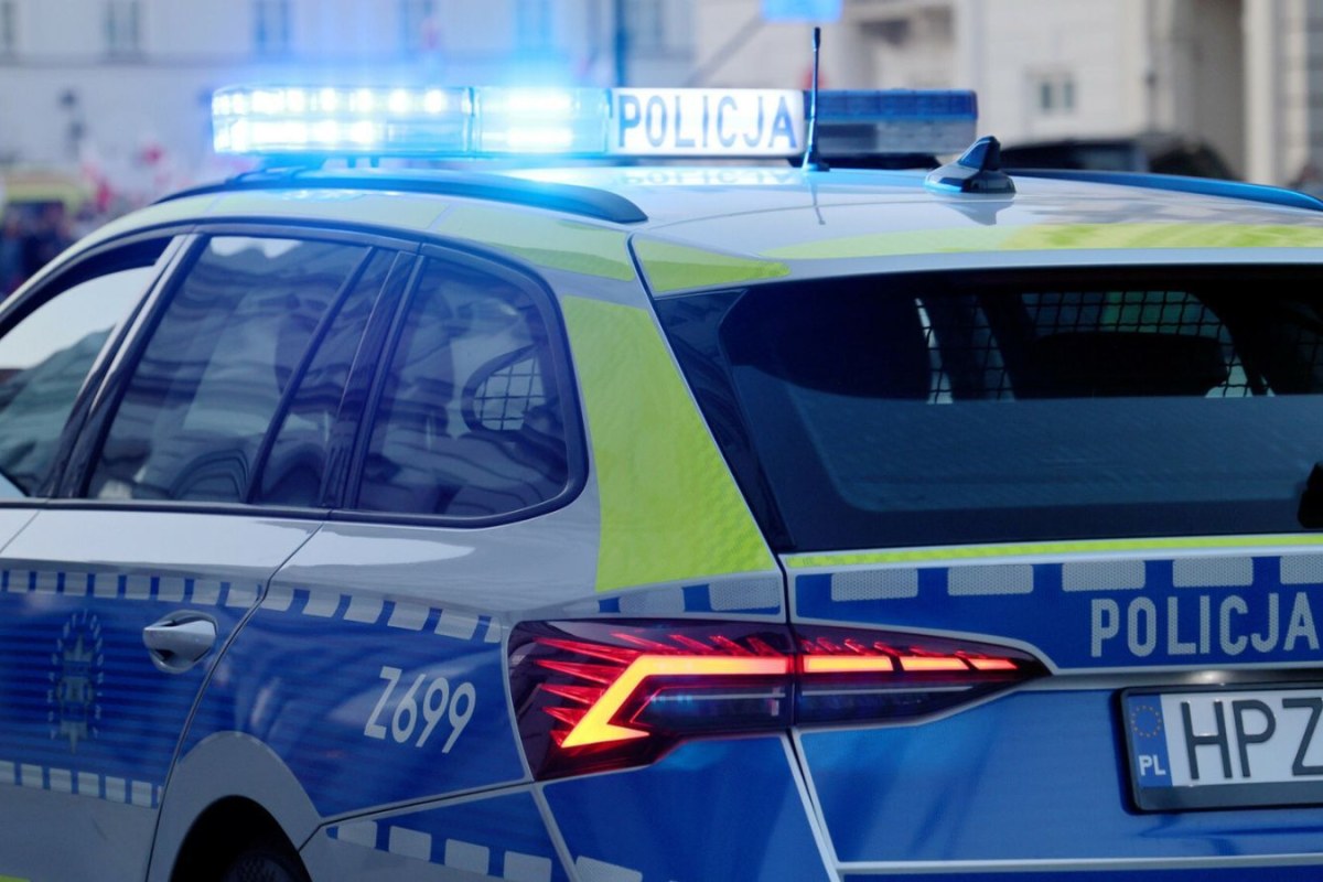 weather balloon forest