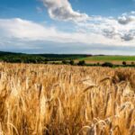 Danish countryside estate