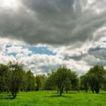 stormy sky landscape