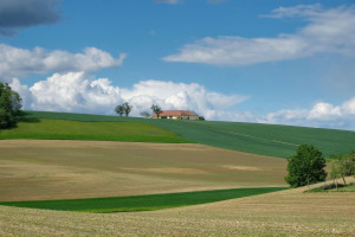 aristocratic estate aerial