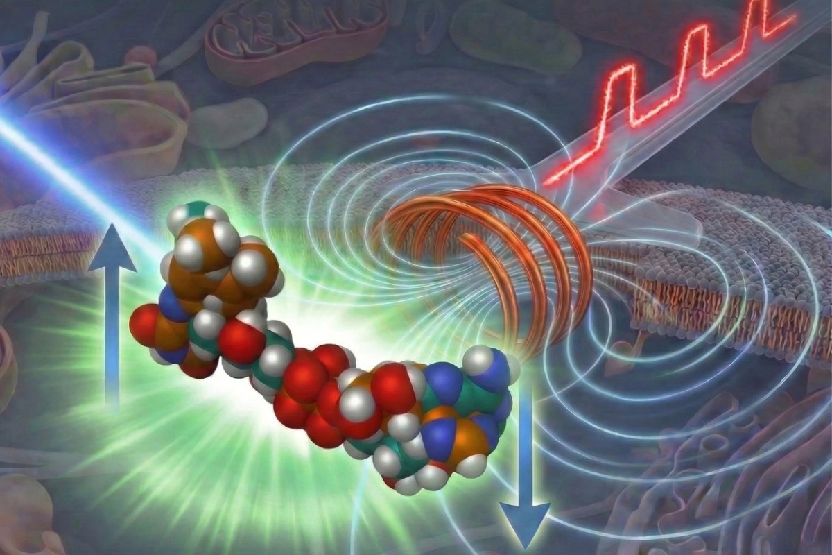 microscopy nanotechnology