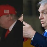 Hungarian parliament election