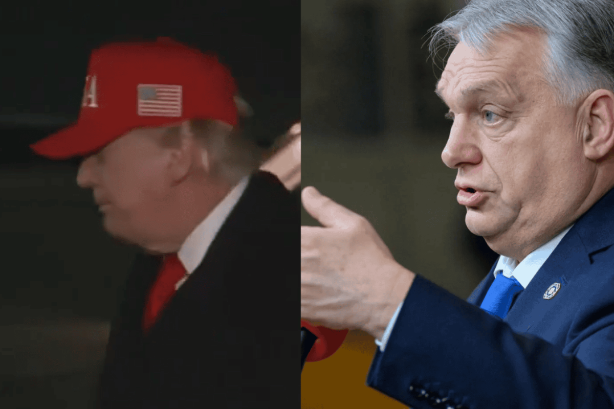 Hungarian parliament election