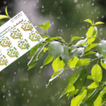 spring weather forecast