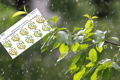 spring weather forecast