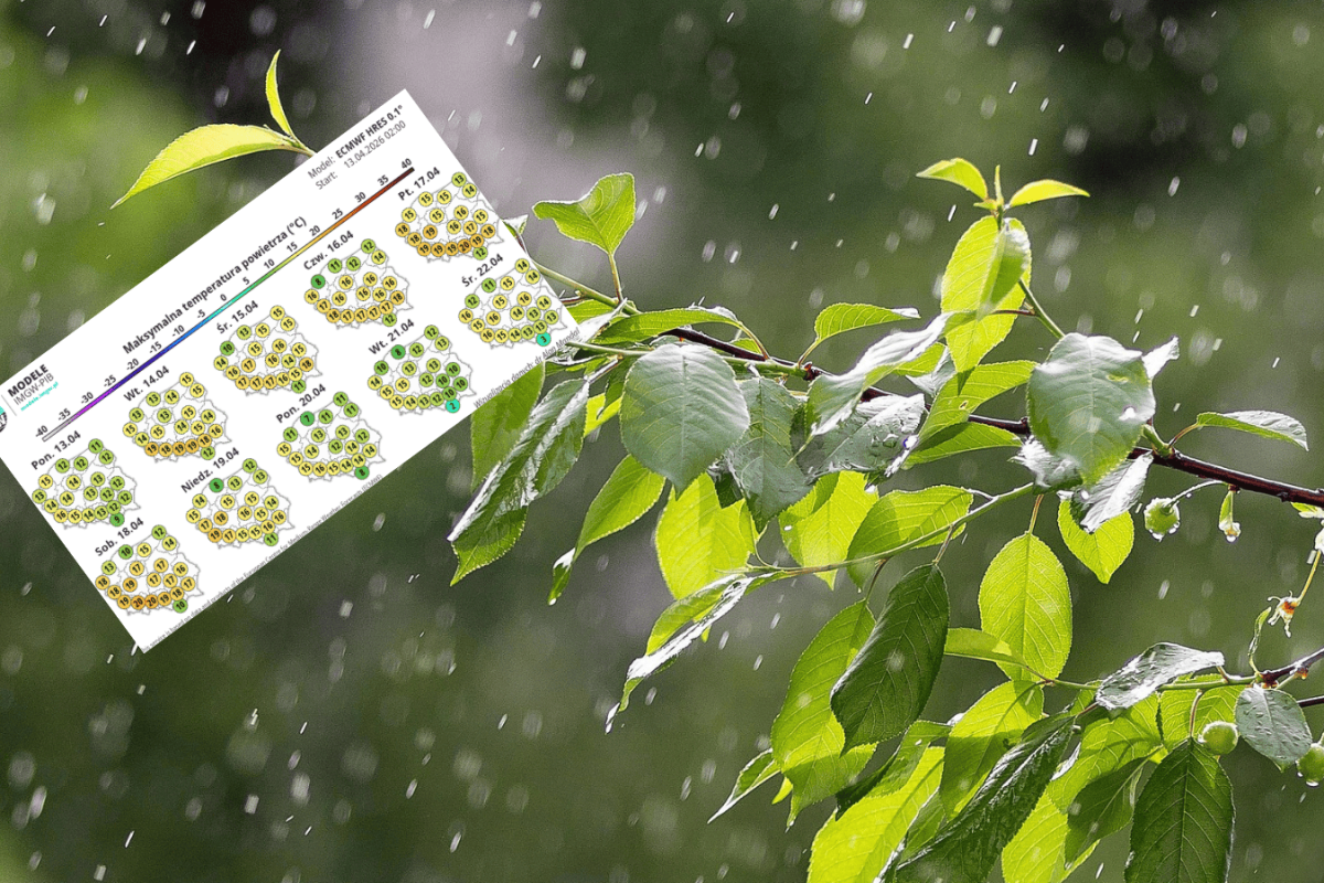 spring weather forecast