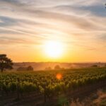 Gavnø Castle aerial