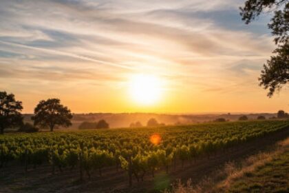 Gavnø Castle aerial