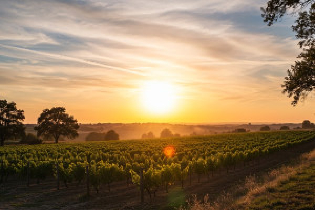 Gavnø Castle aerial