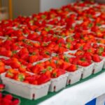 frozen strawberries Egypt