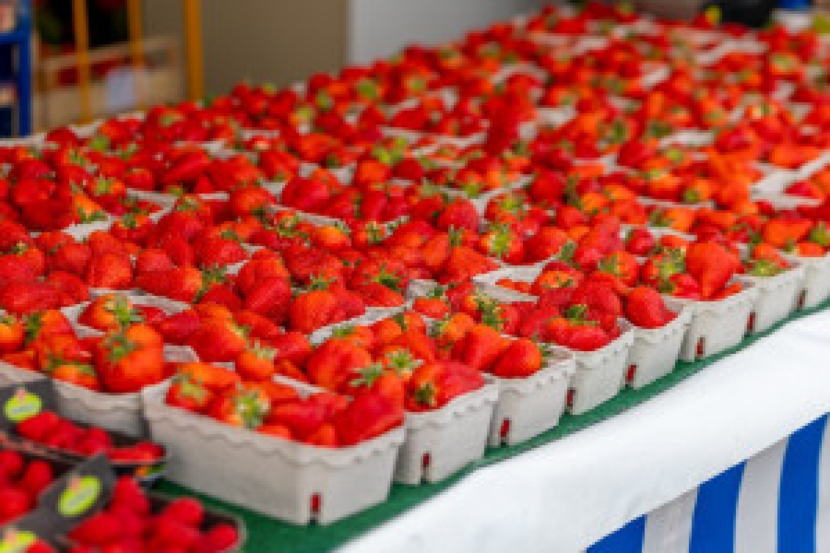 frozen strawberries Egypt