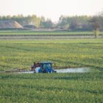 damaged winter crops