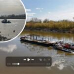 missing person poster forest