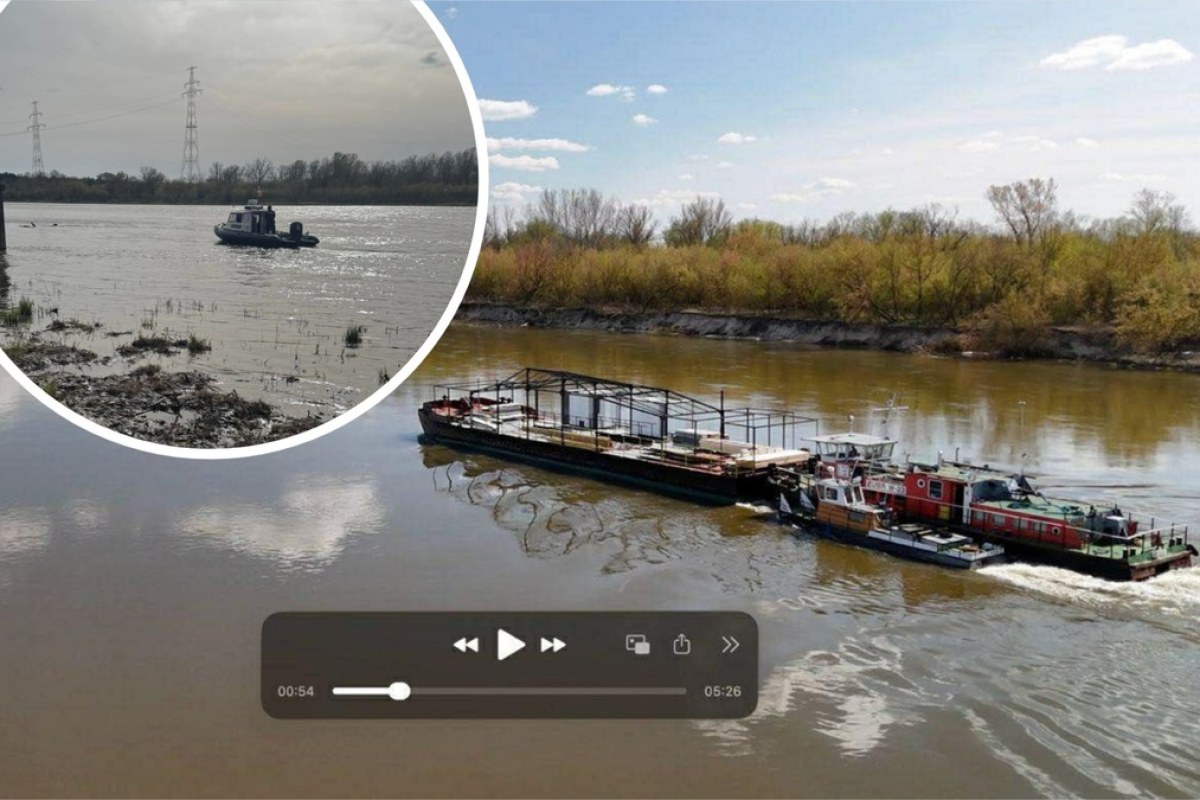 missing person poster forest