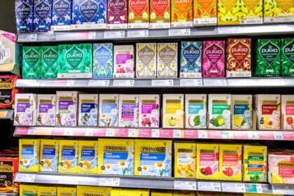 celandine plant closeup