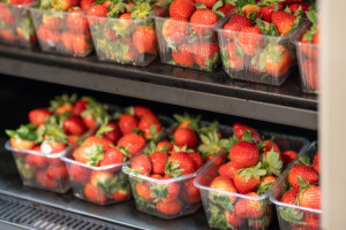 frozen strawberries import