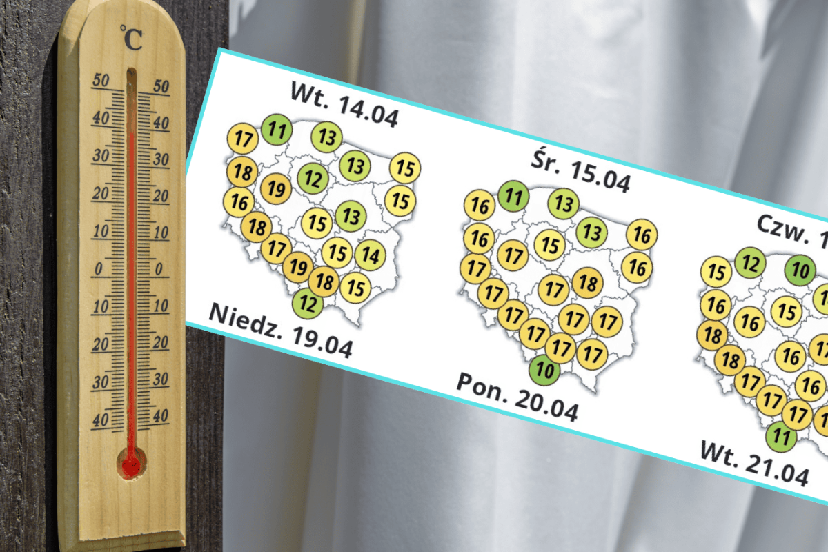 rainy weather umbrella