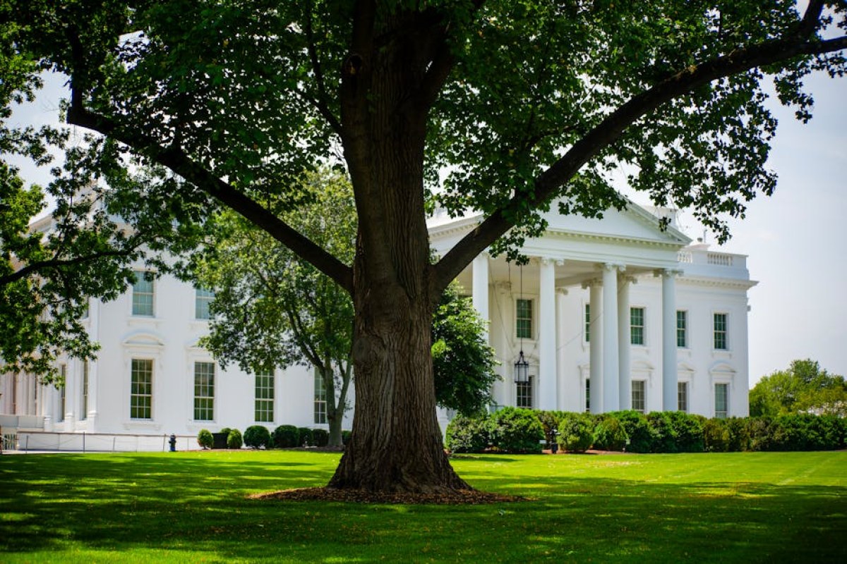 Donald Trump portrait