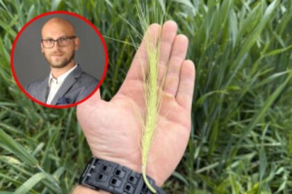 damaged crop field drone