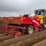 potato field inspection