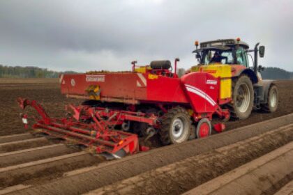 potato field inspection