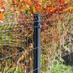 fence dispute property line