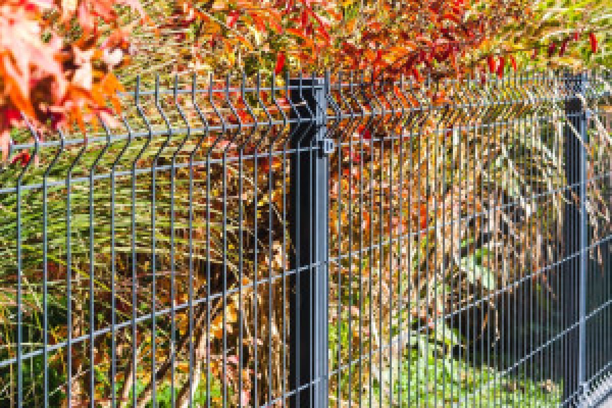 fence dispute property line