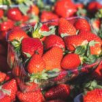 frozen strawberries import