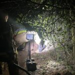 firefighter dog rescue