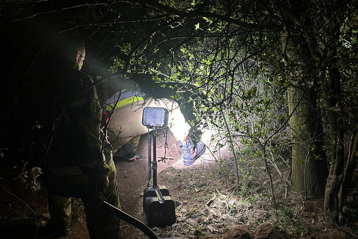 firefighter dog rescue