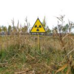 Chernobyl field cultivation