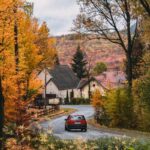 Hungarian village house