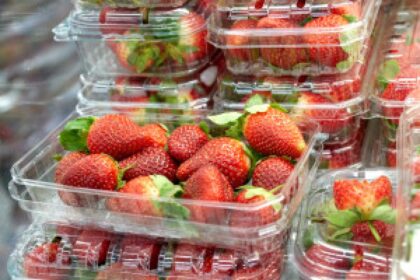 frozen strawberries Egypt