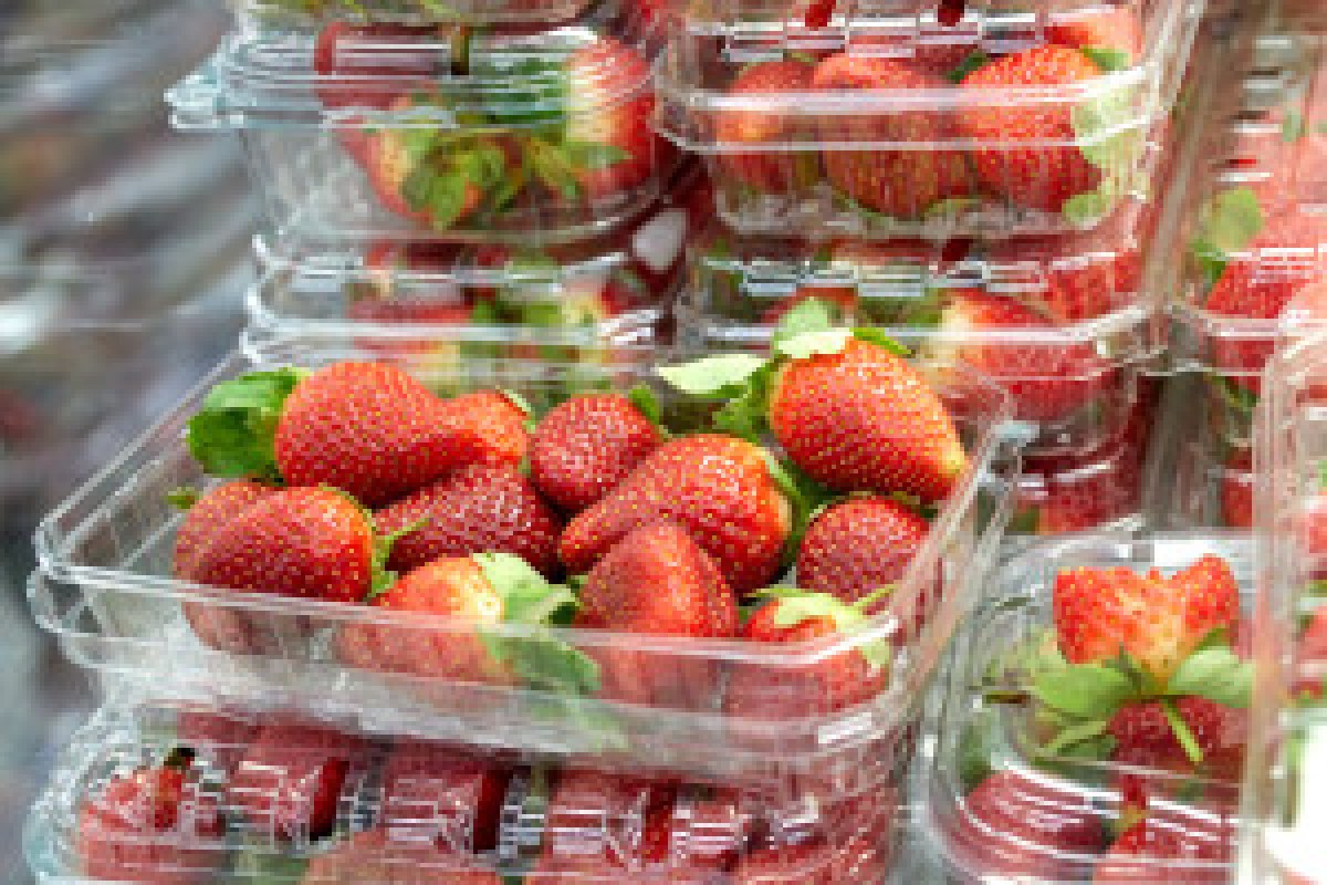 frozen strawberries Egypt