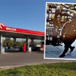 gas station security