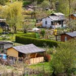 allotment garden city