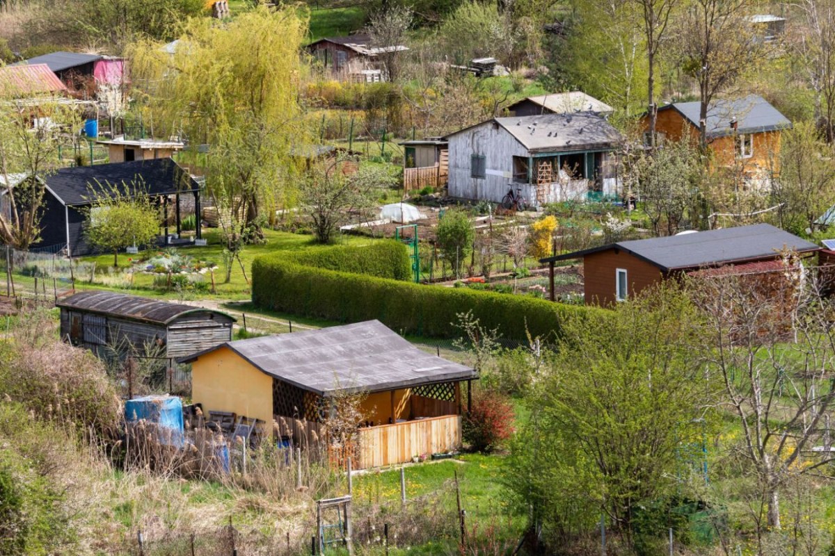 allotment garden city